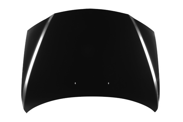 Hood Panel Assembly