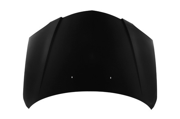 Hood Panel Assembly