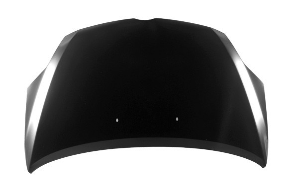 Hood Panel Assembly