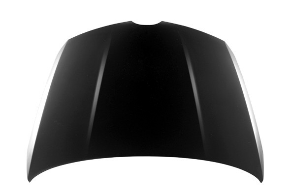 Hood Panel Assembly