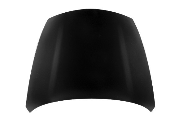 Hood Panel Assembly