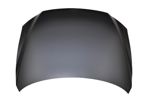 Hood Panel Assembly