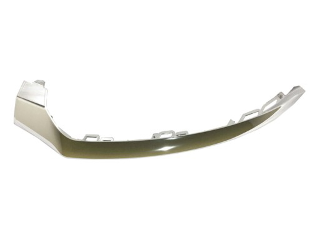 Bumper Cover Molding