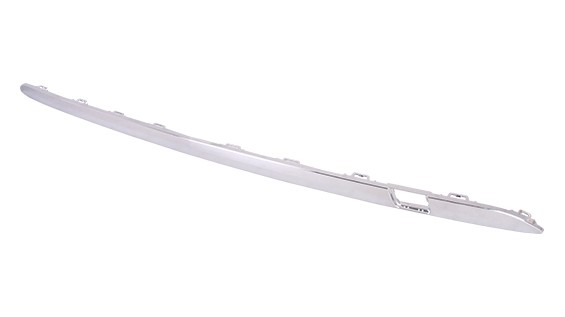 Bumper Cover Molding