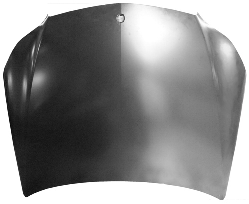 Hood Panel Assembly