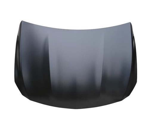 Hood Panel Assembly