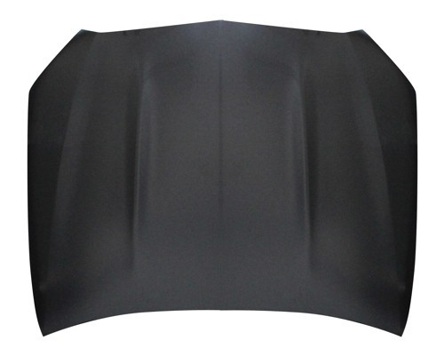 Hood Panel Assembly