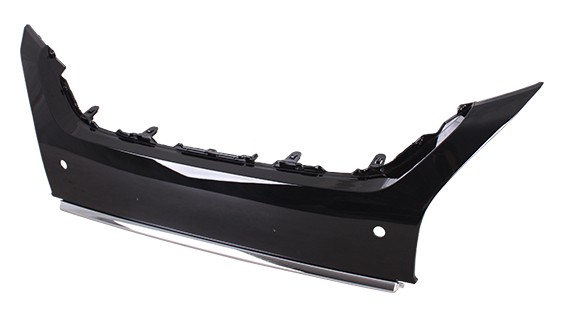 Bumper Cover Molding