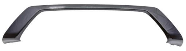 Bumper Cover Molding