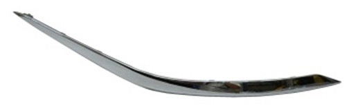 Bumper Cover Molding