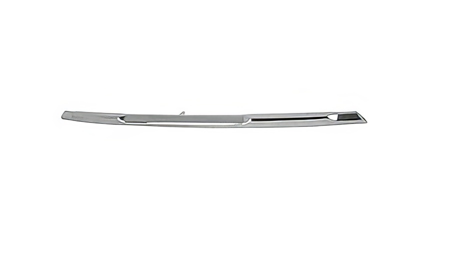 Bumper Cover Molding