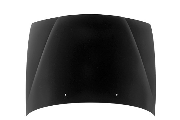 Hood Panel Assembly
