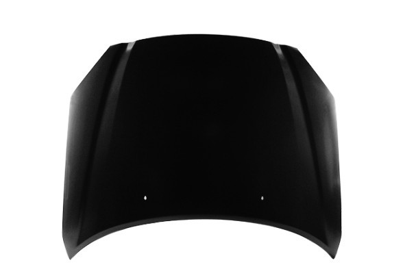 Hood Panel Assembly