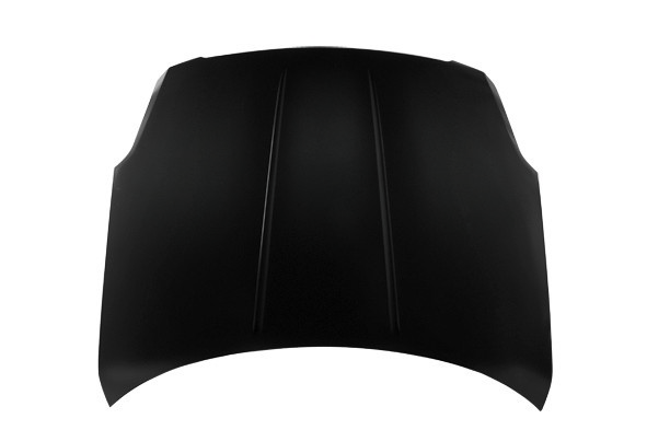 Hood Panel Assembly