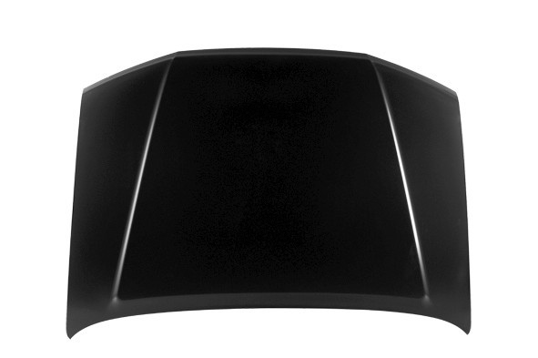 Hood Panel Assembly