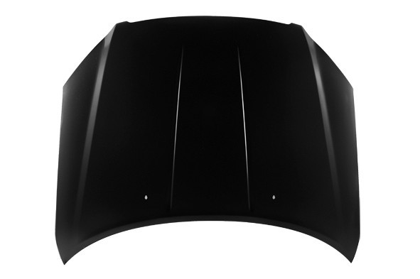 Hood Panel Assembly