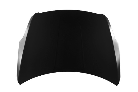 Hood Panel Assembly