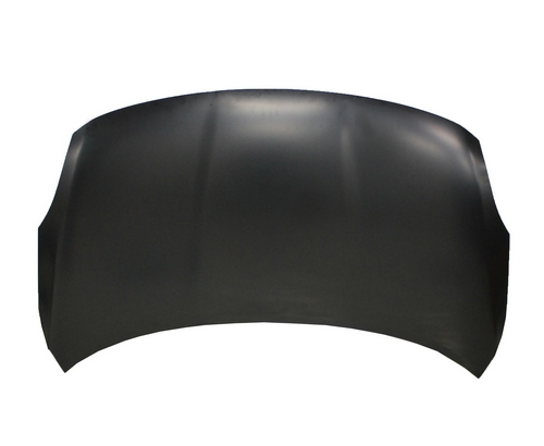 Hood Panel Assembly