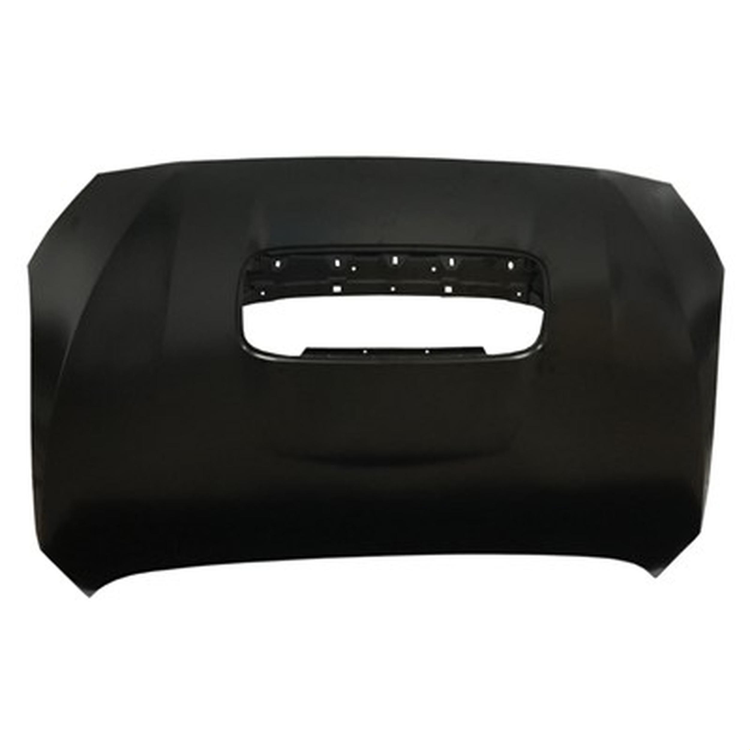 Hood Panel Assembly