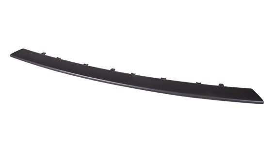 Bumper Cover Molding