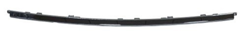 Bumper Cover Molding