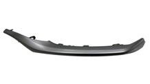 Bumper Cover Molding