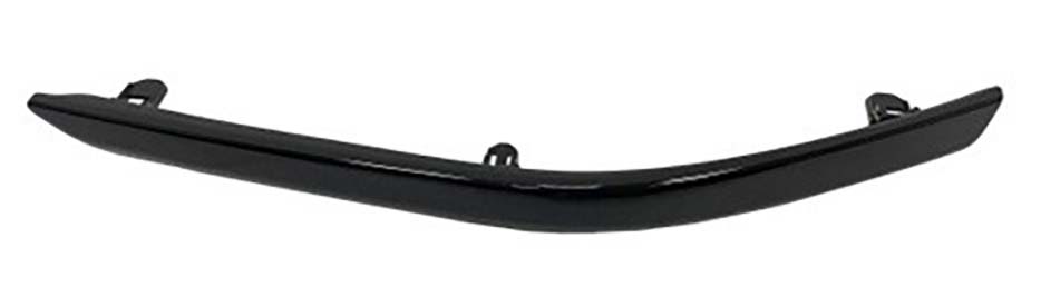 Bumper Cover Molding