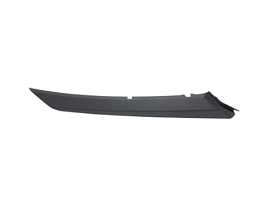 Bumper Cover Molding