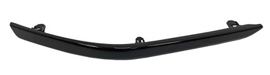 Bumper Cover Molding
