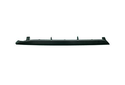Bumper Cover Molding