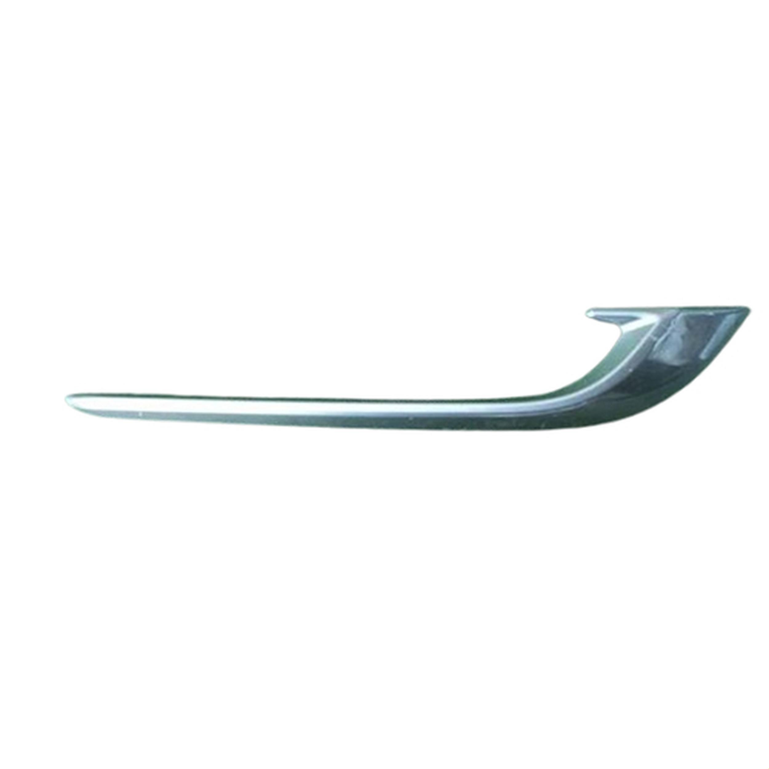 Bumper Cover Molding