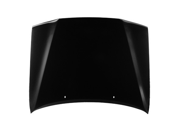 Hood Panel Assembly