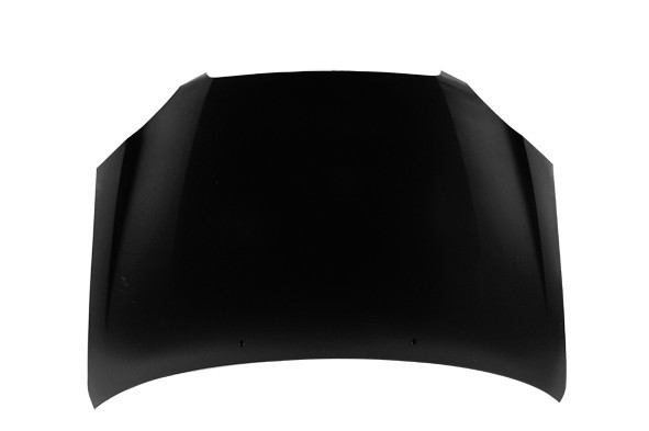 Hood Panel Assembly