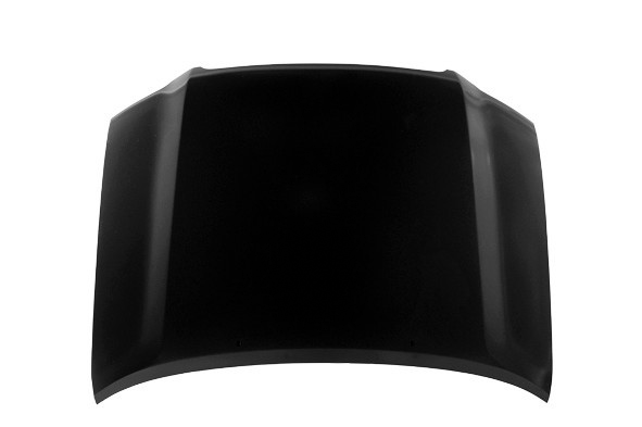 Hood Panel Assembly