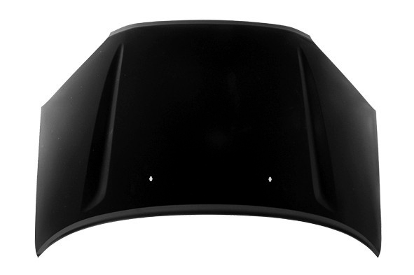 Hood Panel Assembly