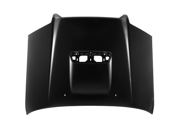 Hood Panel Assembly