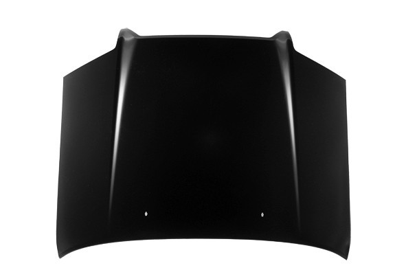 Hood Panel Assembly