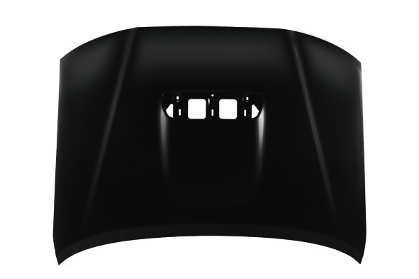 Hood Panel Assembly