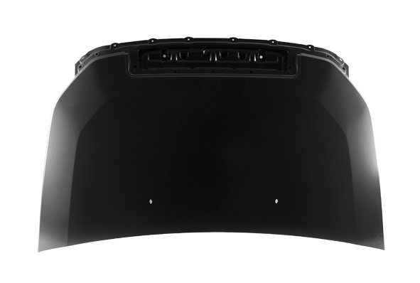 Hood Panel Assembly
