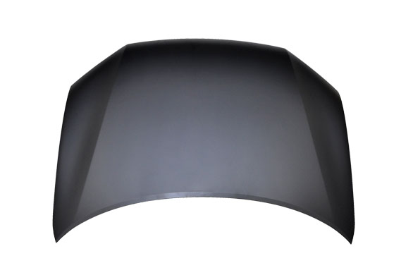 Hood Panel Assembly