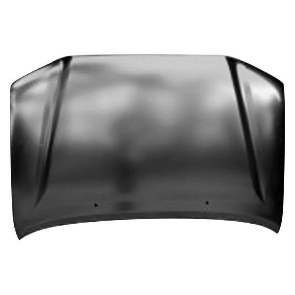 Hood Panel Assembly