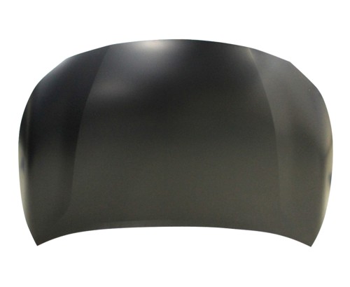 Hood Panel Assembly