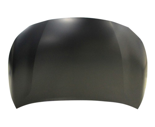 Hood Panel Assembly