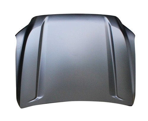 Hood Panel Assembly