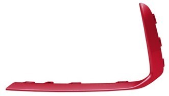 Bumper Cover Molding
