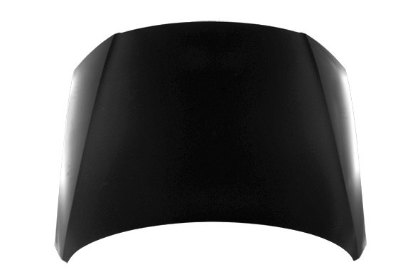 Hood Panel Assembly