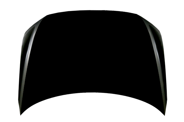 Hood Panel Assembly