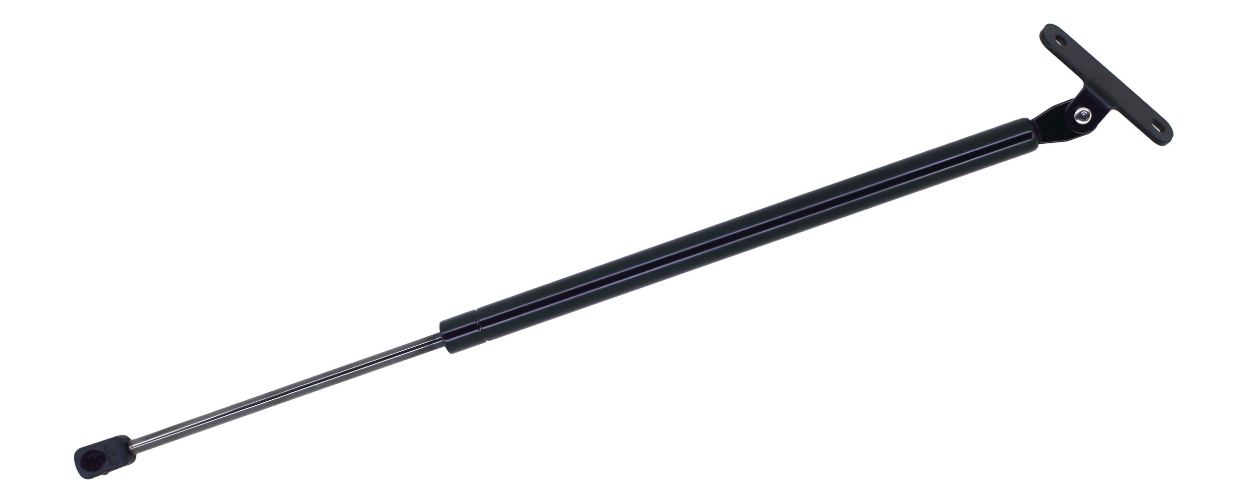 Liftgate Lift Support