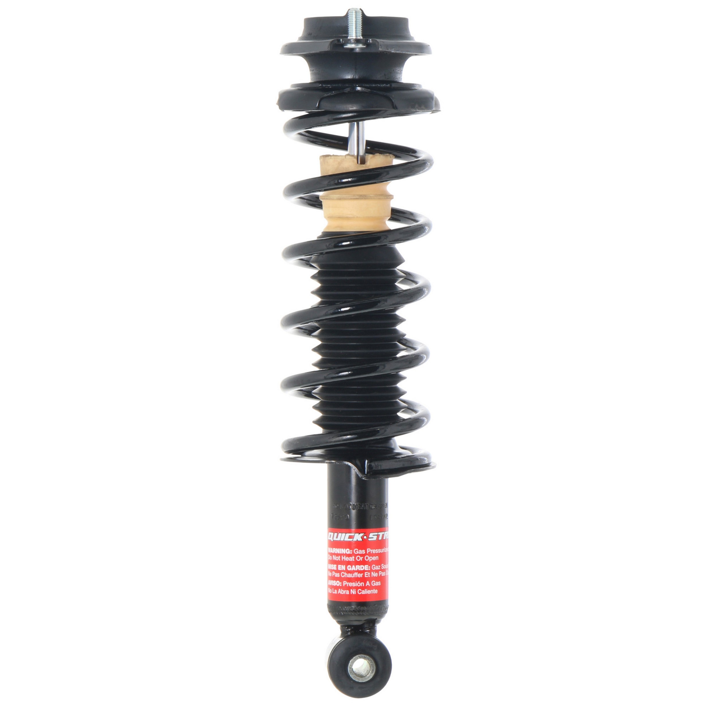 Quick-Strut Rear Suspension Strut and Coil Spring Assembly