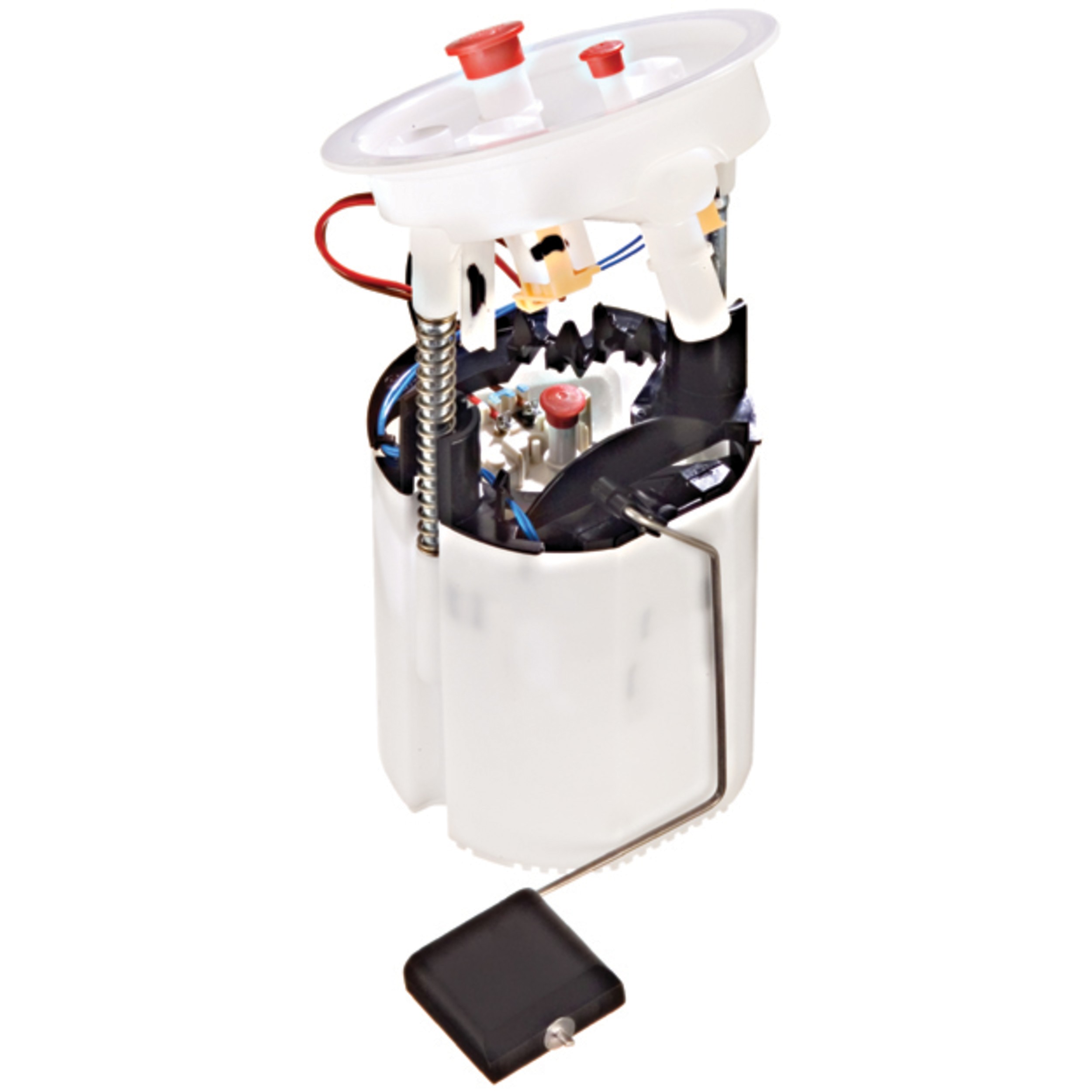 Fuel Pump Module Assembly